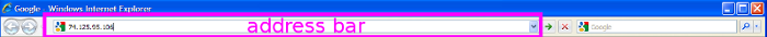 Screenshot of Internet Explorer's address bar with an IP address typed into it